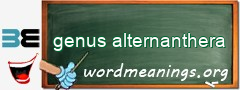 WordMeaning blackboard for genus alternanthera